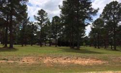 Level two Acre Lot with Pine Trees in Neighborhood of Brick Homes. Only minutes from Interstate 75 and Georgia National Fair Grounds and AG Center in Perry, GA. Will need to be on well water and septic tank.