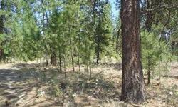 Look at this property, you have been waiting for, very peaceful,treed,open area to build on, and close to Long Lake.Listing originally posted at http