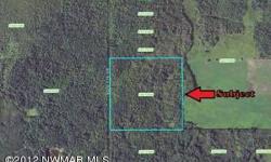 40 ACRES OF MATURE TIMBER & A HUNTERS PARADISE! This land awaits you with State Land just across the road SE of Williams. Great location, privacy & new memories could be yours for a small price.Listing originally posted at http