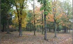 OWNER FINANCING AVAILABLE!!! Mostly wooded, gently rolling 9.12 acre tract with public water! Great for building your new custom home with plenty of room for recreation! Located in a very nice subdivision just off Hwy U. Agent owned. Listed by Westbound