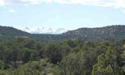 Very seldom you will find a 35 acre parcel conveniently located not too far from town with WATER on it. This 35 acre parcel has water from north end to south end along the county road. Also includes incredible views of the Sangre de Cristo range, the