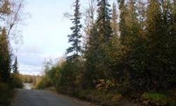 40 Acres heavily treed, undeveloped land, with lots of potential. Established subdivision on south border.
Listing originally posted at http