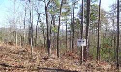 Beautiful piece of property only 6 miles from town square. Paved roads up to property. Underground utilities. New survey with 300FT road frontage and Ridgeline views. Prime lot for house. Must see to appreciate. Adjoining 2.5 lot also available. For sale
