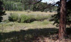 Two building lots being sold together that back to creek! These lots have a moderate slope and are heavily wooded with gorgeous ponderosa, pines, and aspen. Power is available. Sellers are in the process of clearing up their water rights which will be