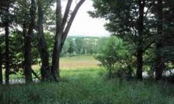 Ready to Build Take a look at this terrific acre parcel available in Wantage. Buildable w nice view has had soil potability test, survey available Country area of lovely homes,