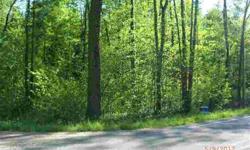 Only remaining lot in 5 lot subdivision, nearly 2.5 acres. Wooded, can be cleared and built to your specifications. Very close to Gun Lake; quiet, private, on cul-de-sac. Road frontage on Ruffed Grouse is 630 ft; 45 ft on Wildwood. Subdivision has