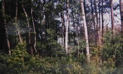 13 acres in otswego county upstate new york, just minutes to the cooperstown baseball hall of fame. parcel is zoned residential with nearby homes. commercial buildings nearby as well. taxes are approx 400 a year. small treees and bushes are accross the