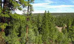 Timberlake Ranch- This parcel is close to national forest with old growth trees and views of the Cibola National Forest. It has a good producing well and well house with storage. The property goes up a hill and if some trees were cut there would be more