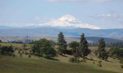Excellent panoramic view includes Mt. Hood. Paved road access and less than 2 miles from town. North side is fenced, power is on property and has perc test for standard septic. Great opportunity for country living close to town. Standard septic perc in