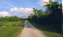 BIG 3.672 ACRE TRACT OF VACANT LAND CURRENTLY CODED AS 'C1' - FULLY FENCED, PARTIALLY CLEARED. THERE IS A POND ON THE PROPERTY AND DIRT ROAD LEADING TOWARDS THE BACK - PRICED AT $106,200 PER ACRE.Listing originally posted at http