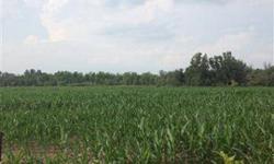 10 acres of tillable farmland. Seller currently rents farmland to a farmer for $90/acre per year for a total of $900 income/year.Listing originally posted at http