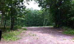 Hunter? Nature lover? This is the land for you! Wildlife abounds in this serene corner of Greene County. Electric on property. Approximately 1 acre cleared for building lot. Agent-Only Rmrks Owner has posted and warning signs on property. Please call