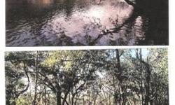 100' x 550' on Withlacoochee River Withlacoochee Springs Subdivision Lot 12 North 1613 N.W. 16 Lane, Jennings, FL Hamilton County All wooded - about 15 miles south of Lake Park, GA 175 feet above 100 year flood plain Location of Florida State Rock