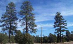 Hard to find acre home site loaded with trees! This parcel has power & water to the lot line & horses are allowed too.
Listing originally posted at http
