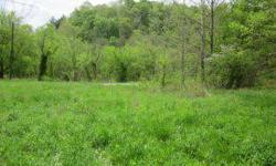 Reduced! Located just outside the city limits, mostly wooded with approximately one acre cleared, spring and creek on the property with numerous building sites. Deer and turkey on this property, great view from ridge top.
Listing originally posted at http