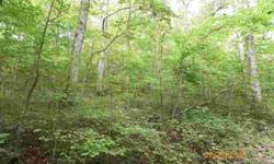 Approx 19.324 acres-mostly wooded.Listing originally posted at http