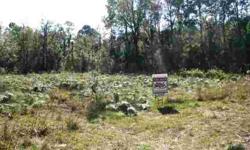 Build your dream home on this very secluded partial cleared lot with well water available on lot. Listing originally posted at http