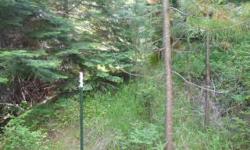 This will buy you 10 private acres with a year round creek at your front door. This is recreational land only, it is undeveloped. It is off the grid, but only a mile if you ever wanted to hook up power to the land. It is located one mile down a private
