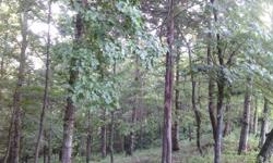 78 Acres of wooded timber located at Middle Tennessee by Center Hill Lake off Interstate Highway 40.