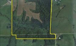 Don't miss out on this rare opportunity to own a farm located in 2 trophy whitetail states. 162.75 acres total with 146.75 acres in Iowa, and 16 acres in Missouri. Located in a well-known trophy producing area! Out-of-state hunters can hunt Missouri every