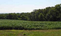 Farmer and Invester ALERT! A tract of land just short of 40 acres, 39.4822 Acres. The property currently has approximately 26 tilable acres, currently planted to soybeans. The view is breath taking, in the fall and winter the Missour River is visable. The
