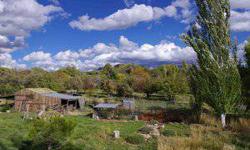 2+ acre Sunny SW Hobby Farm, close to St George, Utah Residence is 2nd story over 1st floor artist work & retail shop Rustic dry hay barn, corrals, grazing pasture with apple & pear trees Cullinary water and irrigation shares Residence pics & map on web
