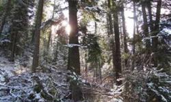 10 Rugged and secluded acres with lots of Timber. Located on the east side of Round Valley. Priced to sell. email (click to respond)
Listing originally posted at http