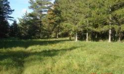 20 Aces for sale in Upper Peninsula, Daggett Michigan,Great for Hunting or possible building site, Aboundant farmland and cedar trees, three tree stands and one enclosed hunting blind, one third is clear and the rest is wooded with pine, oak and ceder