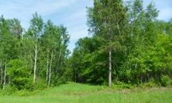 Great location to get away for peace and quiet on Stocking Lake. Build your dream lake home on 5 plus acres and 360+ feet of shoreline. Wooded lot offers the privacy that you are looking for. Great location to take in local events, recreational activities