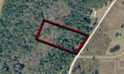This place is in an air-park, for your conveniences, nice wooed lot, close to Suwannee river as well as boat ramp. And many springs in area.Listing originally posted at http