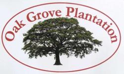-Imagine life in the country with mountain views, gently laying land and spectacular paved access. Oak Grove Plantation offers pristine building sites with underground utilities. Views, woods, pasture and AFFORDABLE. These homesites may be used for