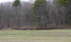 Beautiful Building Lot across the road from the Newport Golf Club! 1.6 acres with Town water at the street....just add your septic system. Level lot in an area of Newer homes!Listing originally posted at http