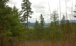 For the recreational enthusiast, this affordable wooded building lot would make an impeccable getaway. Build a cabin or just use it as a weekend retreat. Property is located in Plummer, Idaho which is a popular location for outdoor sports such as fishing,