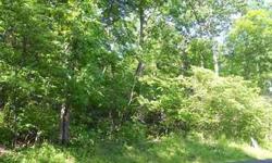 Very attractive wooded 1.16 acre corner lot. Located in quiet neighborhood. Lot offers lots of mature trees & privacy. Easy access to Rt. 16 & MD. Within minutes to Ski Liberty & & the Carroll Valley Golf Resort.
Listing originally posted at http