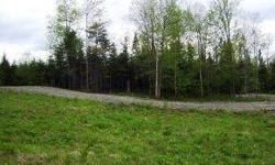 Well located lot w/228' of frontage on town maintained road, direct snowmobile & ATV trail access. Improvements on lot are