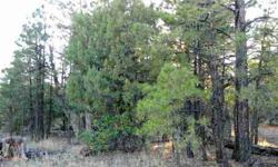 One of the best buys on the market for a 1-Acre heavily treed lot w/power and a shared well. Alligator Junipers, colorful oak trees and mature pines frame a recently surveyed 1-Acre home site with no HOA, horses welcome, and manufactured homes allowed.