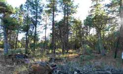 Towering pines and Alligator Junipers are abundant on this level 1-Acre corner lot. Ideal site for manufactured home or mountain cabin. Shared well, recently surveyed, and no HOA. Horses OK too. This is an area where wildlife roams freely and great for