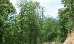 Beautiful subdivision wit year round mountain views. Paved road, septic approved, branches and springs throughout. Views of Brasstown Bald, access to hiking trails. Private area to call home. Walkable distance to Young Harris College.Listing originally