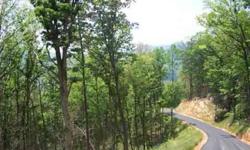 Beautiful subdivision with year round mountain views. Paved road, septic approved, branches and springs throughout. Views of Brasstown Bald, access to hiking trails. Private area to call home & in walkable distance to Young Harris College.Listing