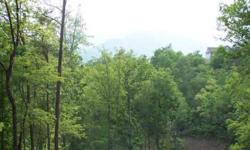 Beautiful subdivision with year round mountain views. Paved road, septic approved, branches and springs throughout. Views of Brasstown Bald, Access to hiking trails. Private area to call home. Seller financing available, terms negotiable.Listing