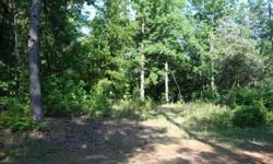 THIS is your opportunity to own a piece of land near Lake Strom Thurmond, known in Georgia as Clarks Hill Lake. We are offering almost 10 beautiful acres just minutes away from lake ramps. It is priced to sell quickly! Conveniently located about half hour