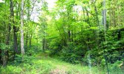 Hardwood canopy wilderness area, across road from Snowbird Creek, a trout stream and close to USFS land. A very easy walk from this parcel to the trout stream across the road. $39,900
Listing originally posted at http