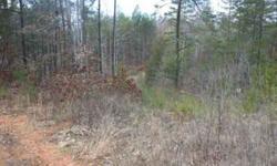Improved land with mobile on the property. Acreage and private drive provide owner with the country life they've always dreamed of! Special financing with ANY income and ANY credit available. Contact Drew at 866-487-5738 for more information.