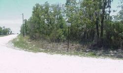 GREATLY REDUCED (From $69,900)--Prime location, for those looking to have a private country setting for your new home-site, at this rolling, naturally-wooded 4.20-acre tract. The property is located in-between Bronson & Archer in NE Levy Co., at the