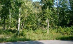 Beautiful, level, wooded lot is ready to build your perfect dream home.