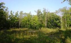 Lake Andrusia building lot in Misty Harbor. Includes house foundation, well & septic.Listing originally posted at http