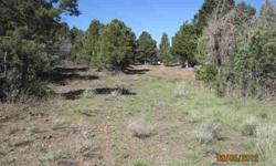 Year round access but live in the trees. Wildlife is abundant in this lovely area. Must see - great value!Listing originally posted at http