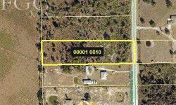 Nice 2.50 Acre Country Estate Site Located Near SR 82 and Daniels Parkway. Approved Site to Build. Bring Your Horses and Other Animals and Build Your New Farm Home. Close to I-75 and SWFL International Airport.