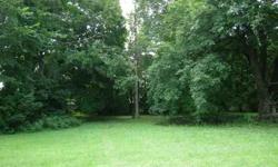 Fabulous view of the Fox River! Come build your dream home on this level wooded lot. Easy access...great location. Drive by and fall in love. NO CURRENT TEST HAS BEEN PREFORMED. LOTS 13 & 1/2 OF LOT 12 = 99X217.Listing originally posted at http