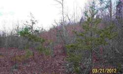 20 acre tract in Halifax County. Great for homesite or a recreational retreat.